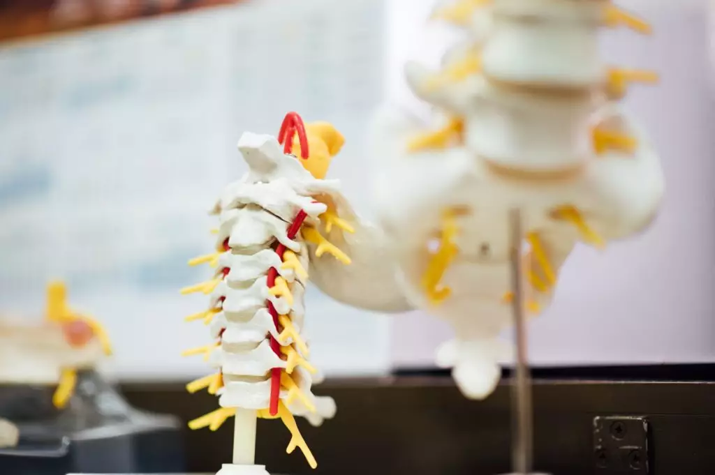 common spine injuries